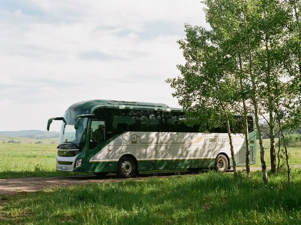 Moderne touringcar geparkeerd naast een groene weide, met jonge bomen die schaduwen werpen op het glanzende oppervlak.